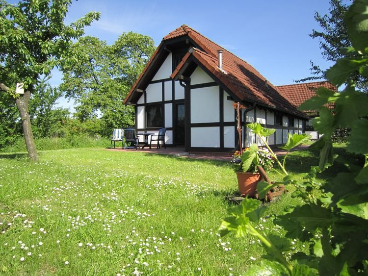 Gruenendeich酒店住宿-Ferienhaus Nordland