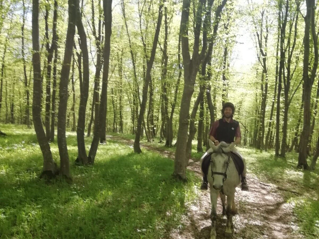 Transylvania on Horseback景点图片