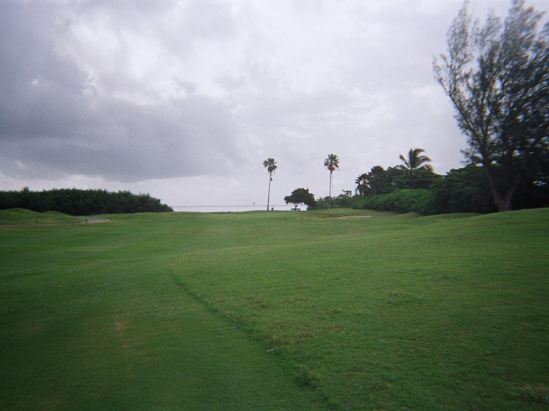 Britannia Golf Course景点图片