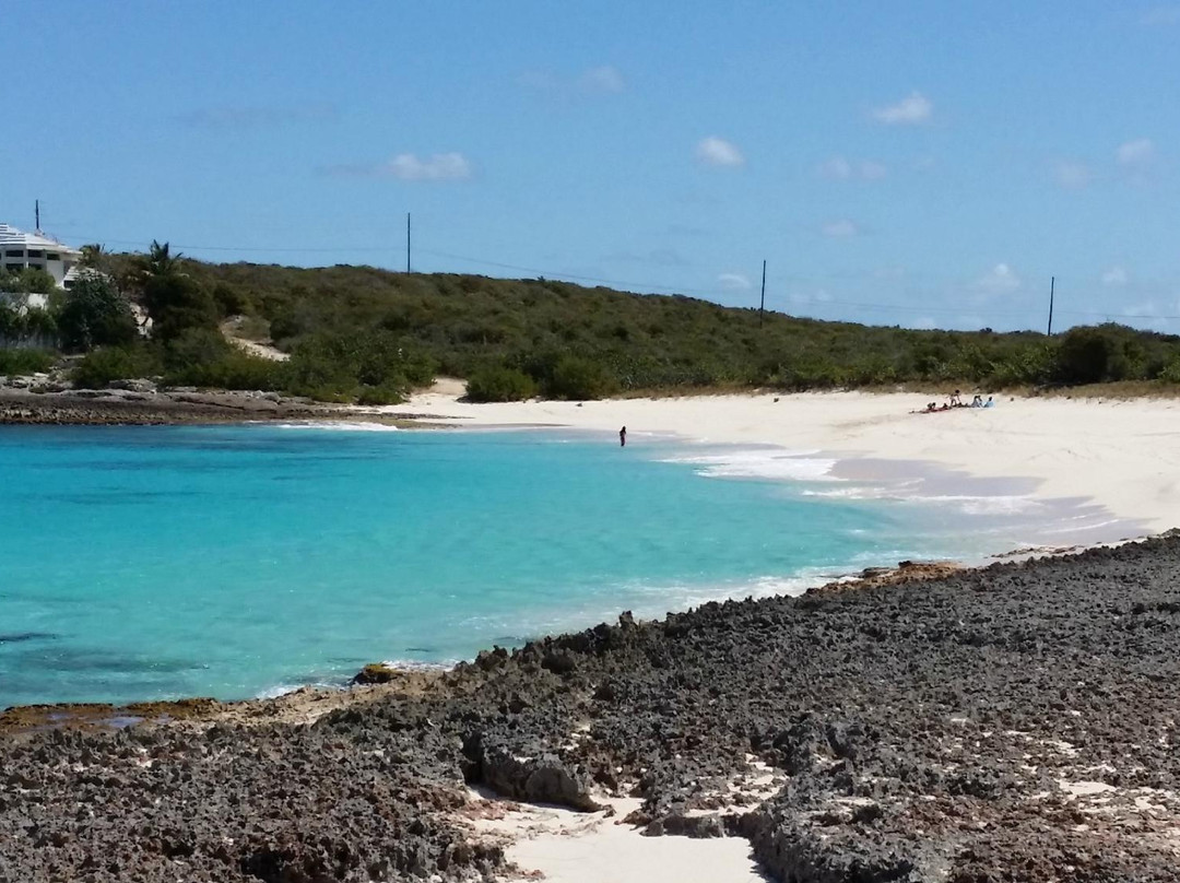 Captain's Bay