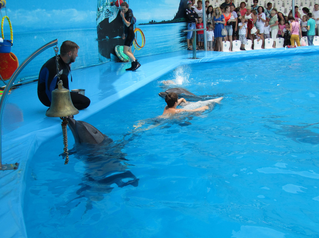 Dolphinarium景点图片