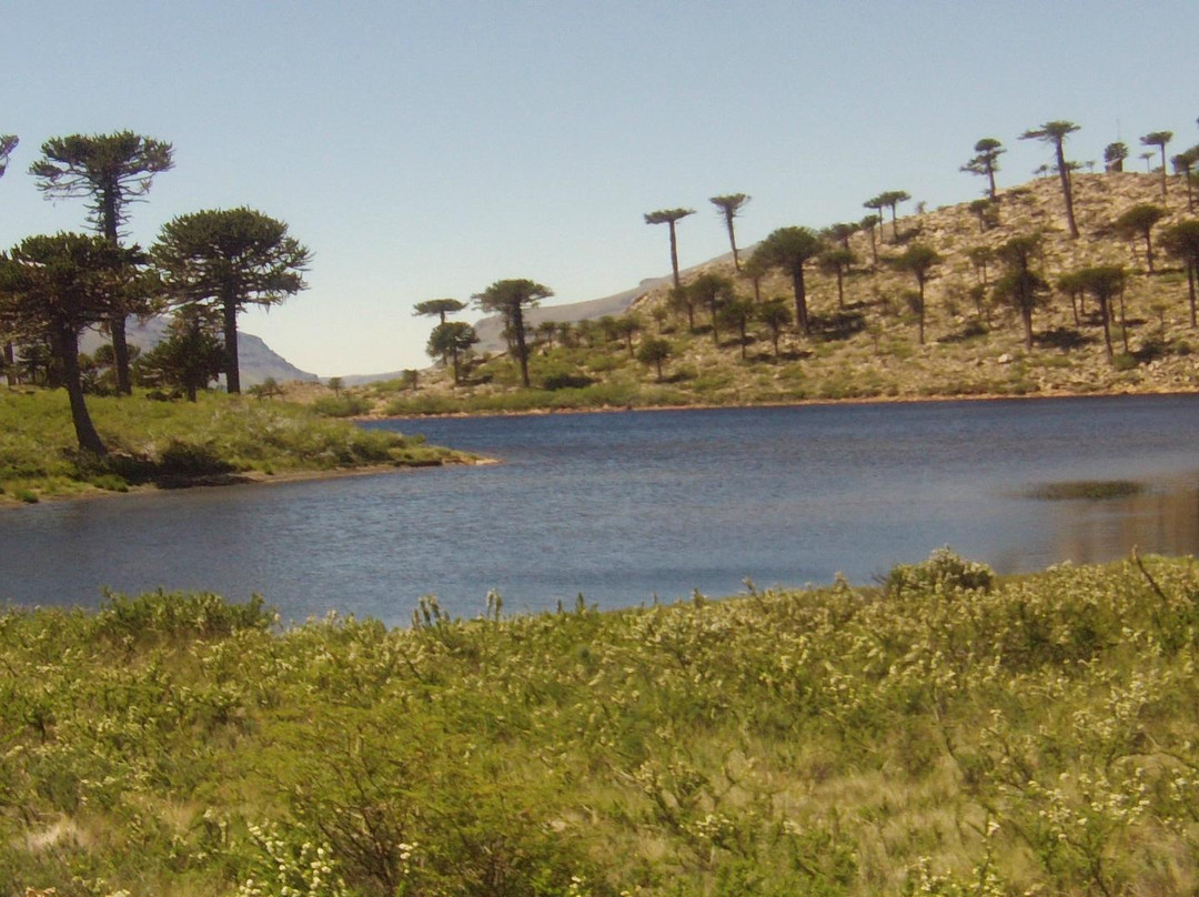 Laguna Escondida景点图片