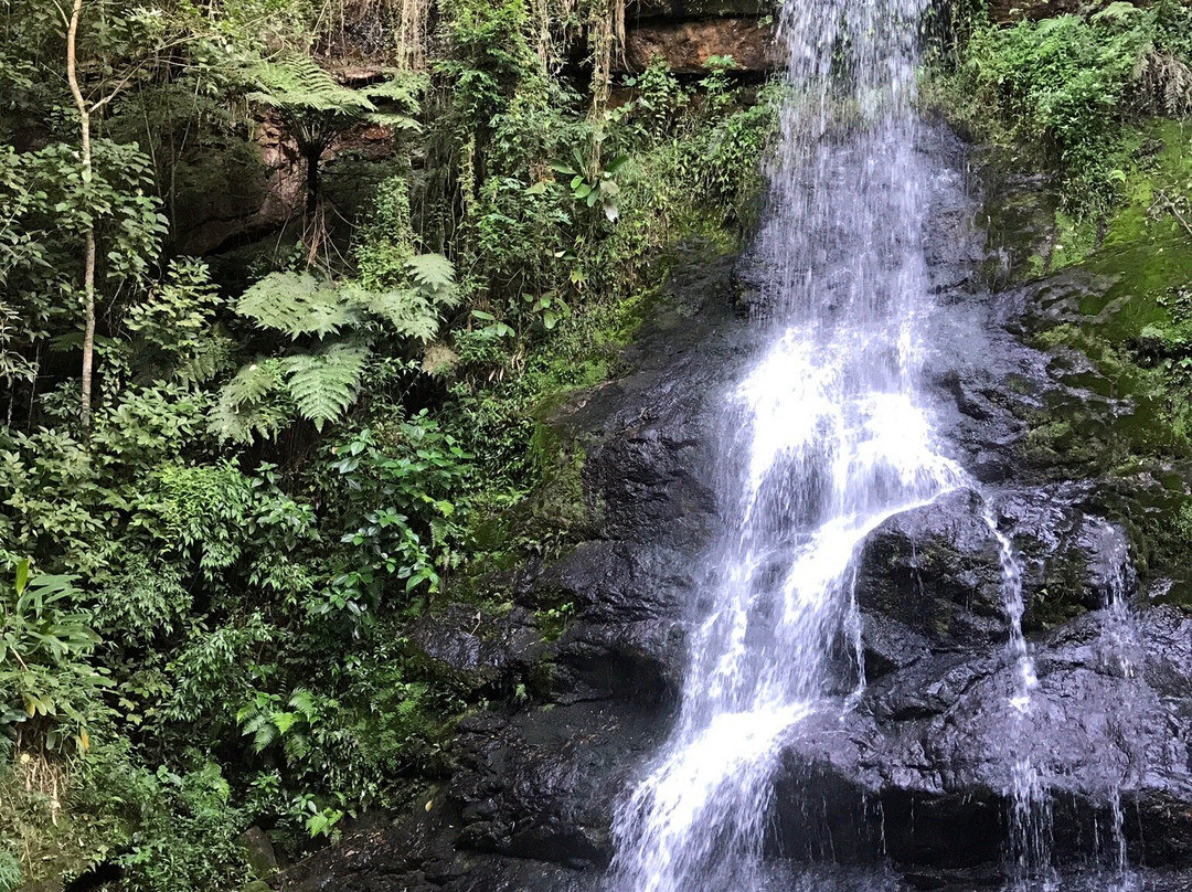 Cachoeira do Joaquim-Andradas必去景点