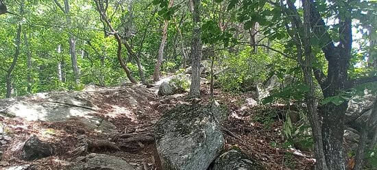 Geumhaksan-洪川郡必去景点