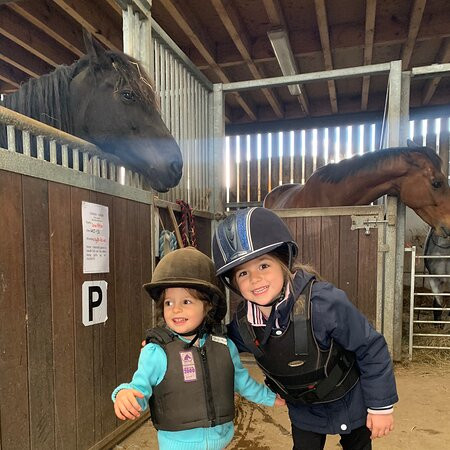 Pioneer Equestrian Coaching-莫顿因马什必去景点