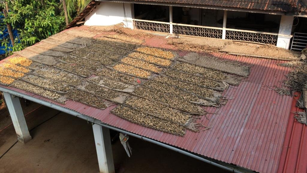 Shreebag Homestay Diveagar主图