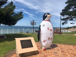 Big Penguin-企鹅岛必去景点