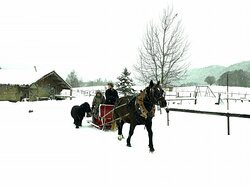 Cercle Equestre Volte Face-Les Deserts必去景点