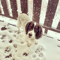 Alpine Village Suites主图