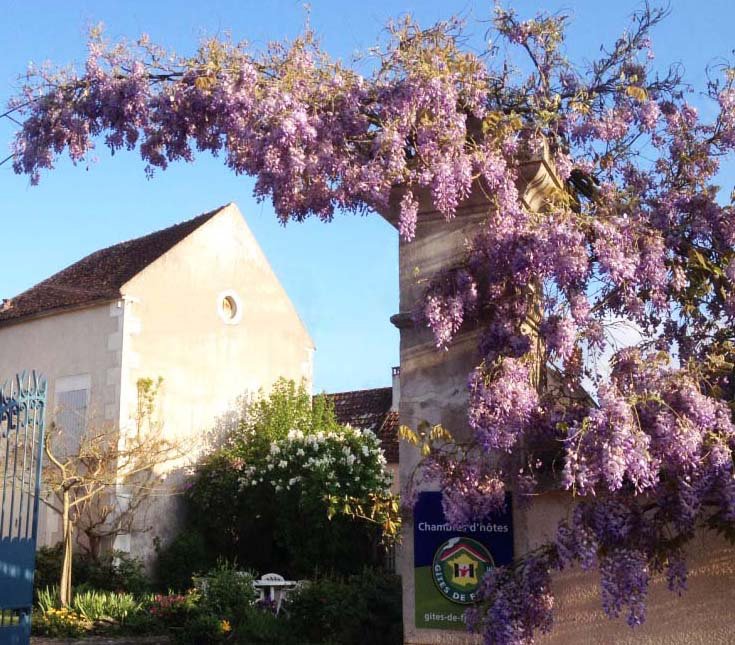 Le Clos De Lucy-官方