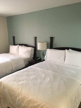 Staybridge Suites Minot, an IHG hotel-官方