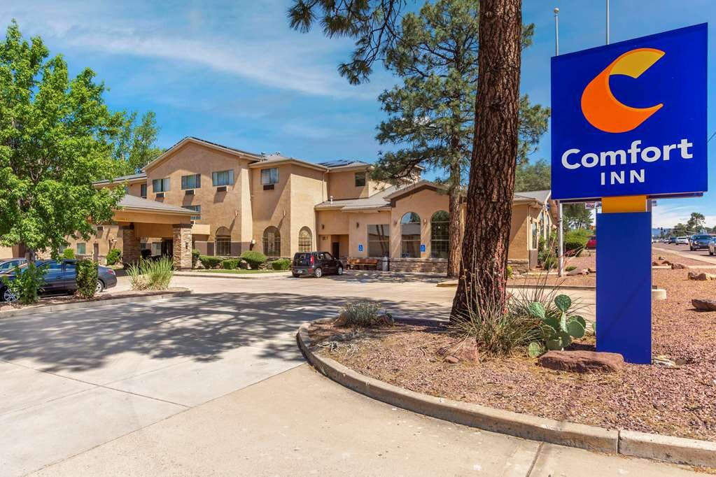 Young酒店住宿-Comfort Inn Payson