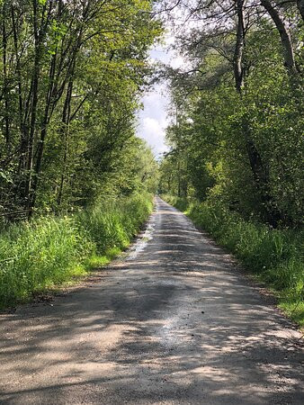 Romantik Hotel de L'Ours主图
