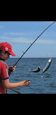 Diligence Mackerel Trips-梅瓦吉西必去景点