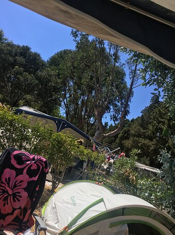 My Sail Croisiere Mediterranee-Six-Fours-les-Plages必去景点