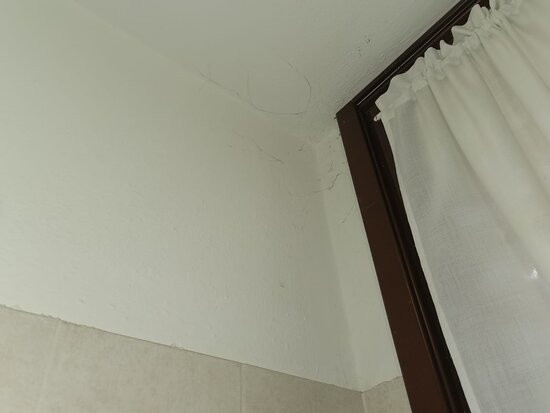 Residence Hotel La Pelosetta主图