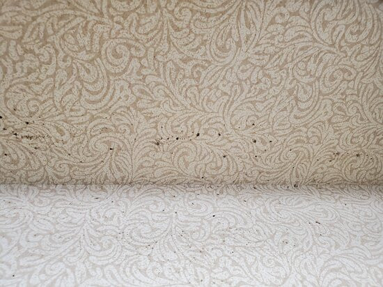 Comfort Inn Arlington Heights-O'Hare Airport主图