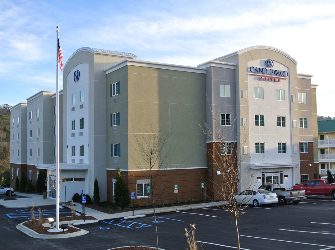 TownePlace Suites by Marriott Birmingham South主图