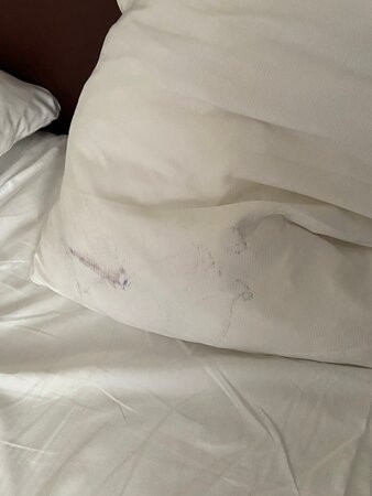 阿姆拉斯酒店主图