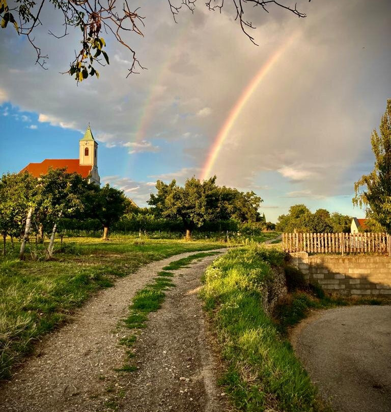 Weingut & Gästehaus zum Seeblick主图