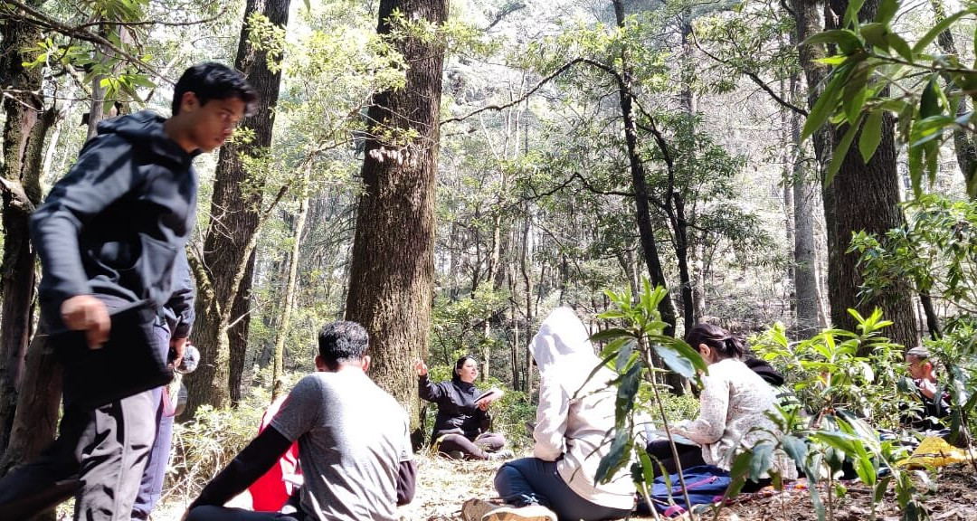 Forest Therapy India-Pangot必去景点