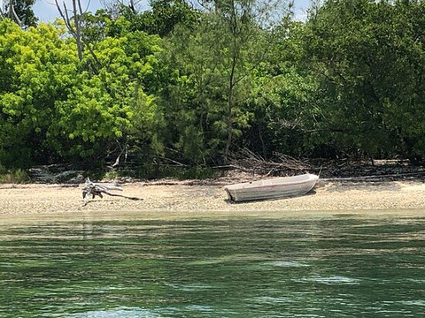Lagerheads Beach Bar and Watersports-基韦斯特必去景点