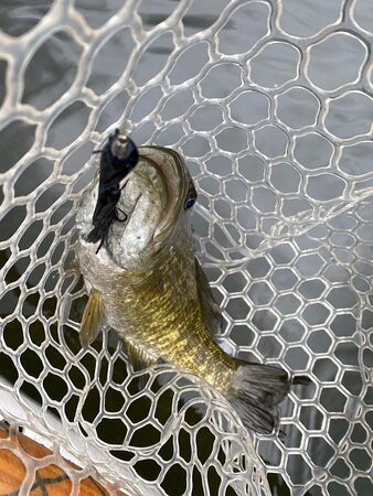 Baxter House Outfitters主图