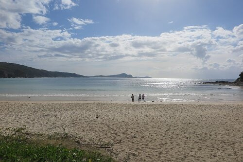 Number One Beach-海豹岩必去景点
