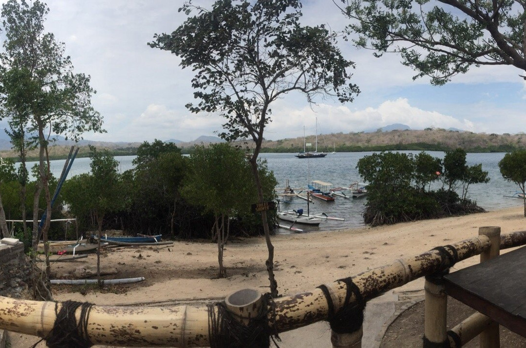 White Sandy Beach Menjangan主图