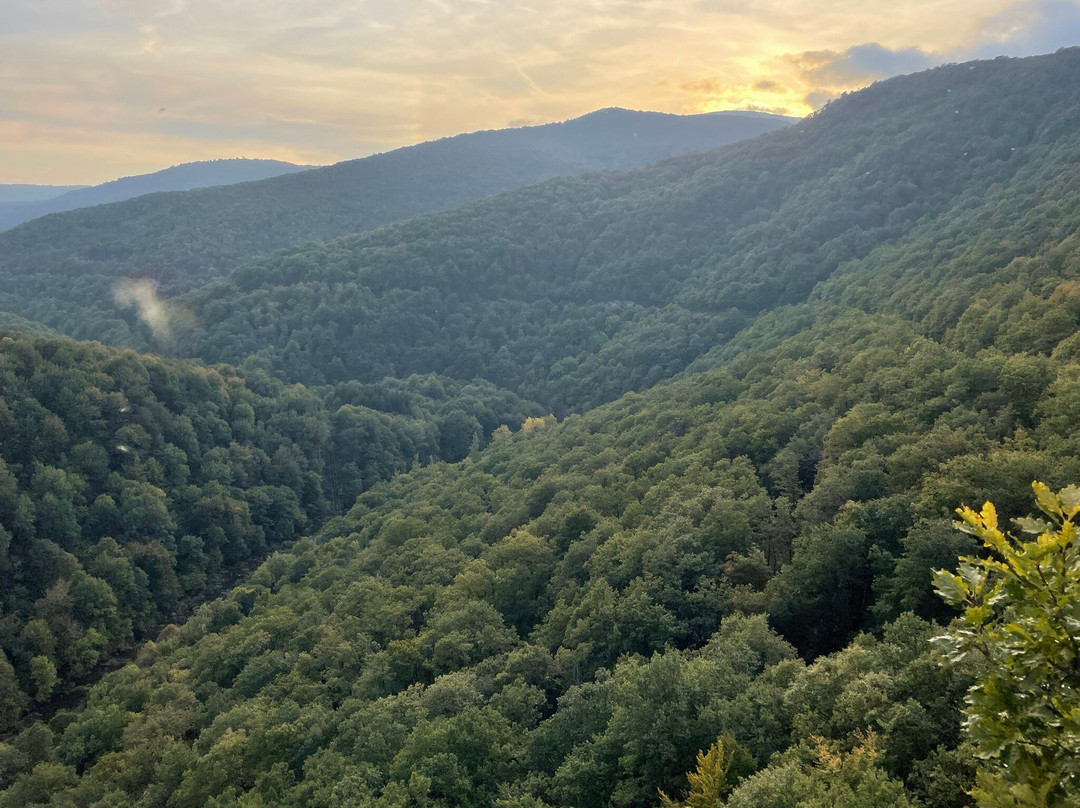 Mirador De Ariztokia
