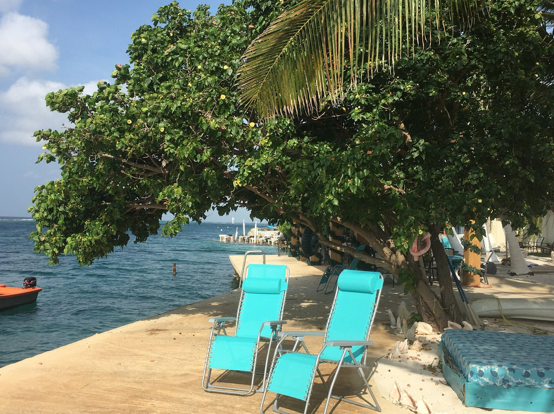 Serene By The Sea主图