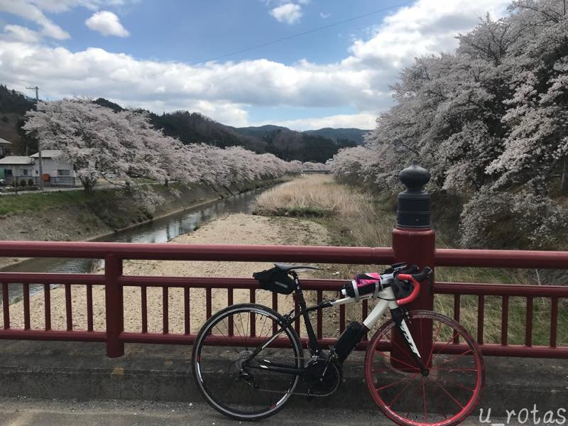 Furudono Sakura Road-古殿町必去景点