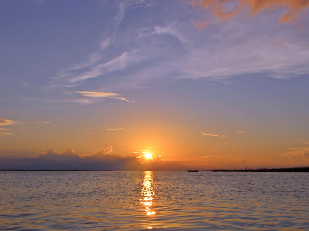 Desa Pela-Kutai Kartanegara必去景点