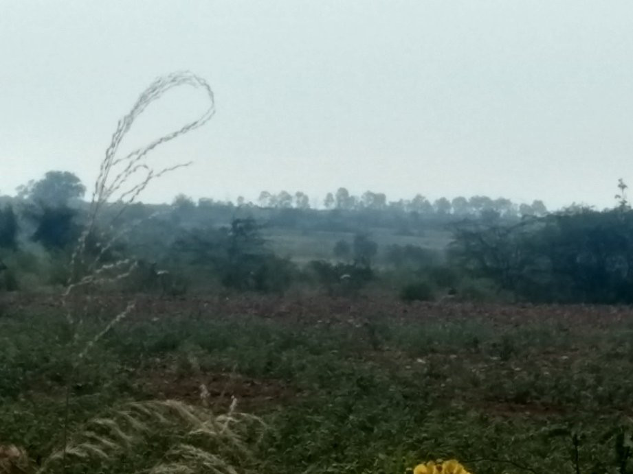 Ranebennur Blackbuck Sanctuary-Haveri必去景点