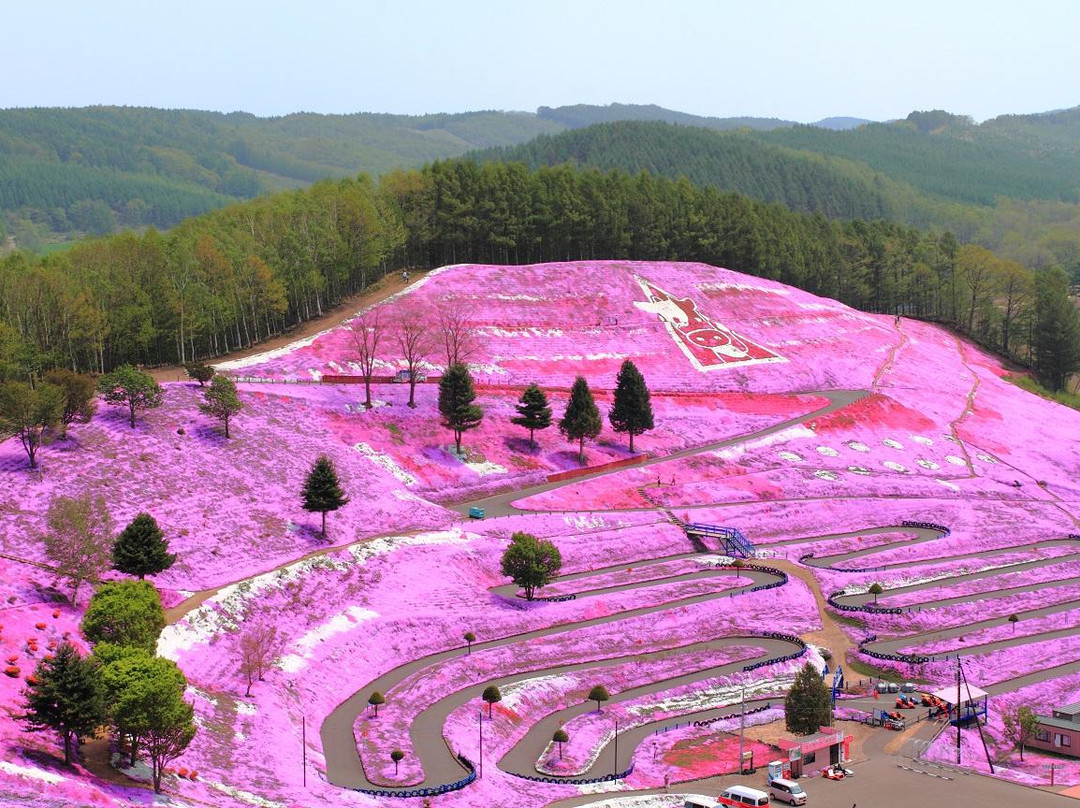 Higashimokoto Shibazakura Park景点图片