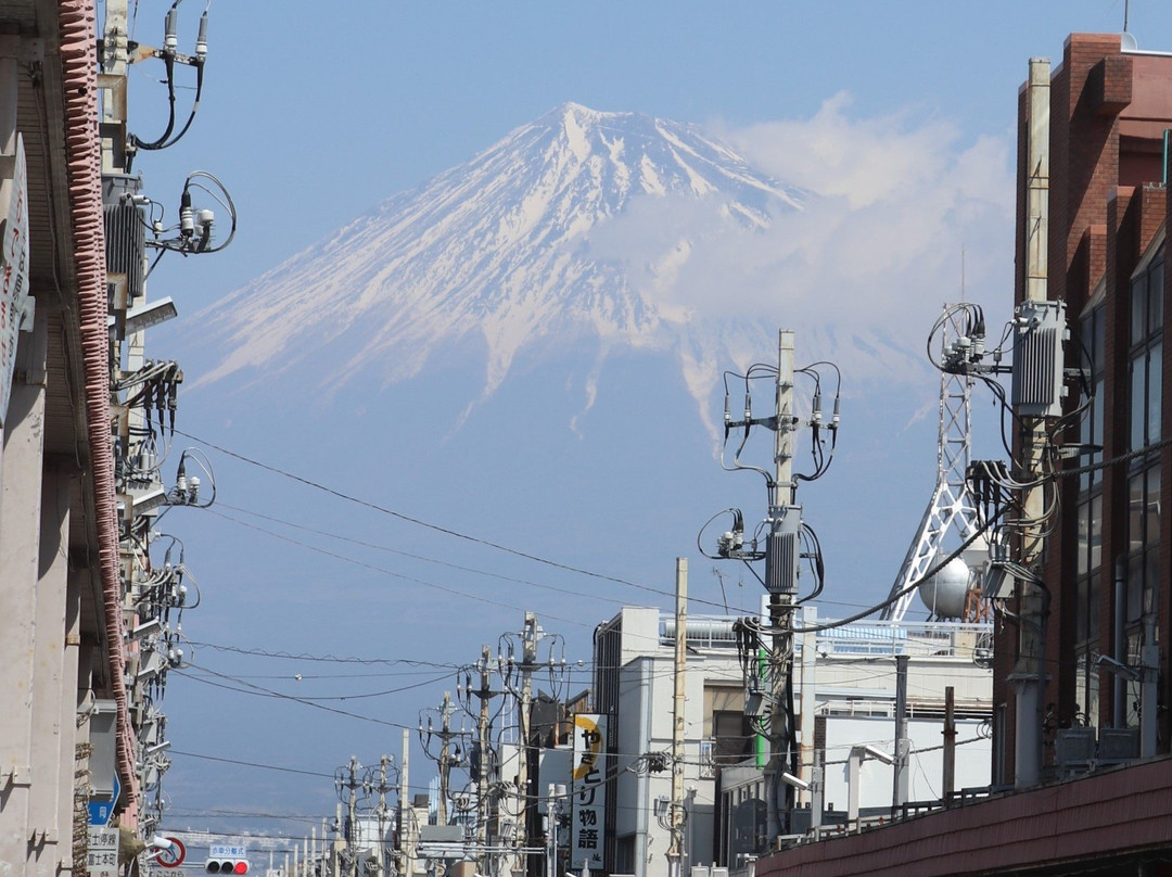 Fuji Honchodori景点图片