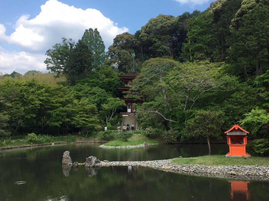 木津川市旅游攻略图片