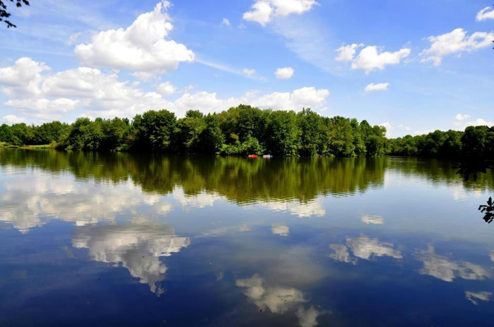 Bear旅游攻略图片