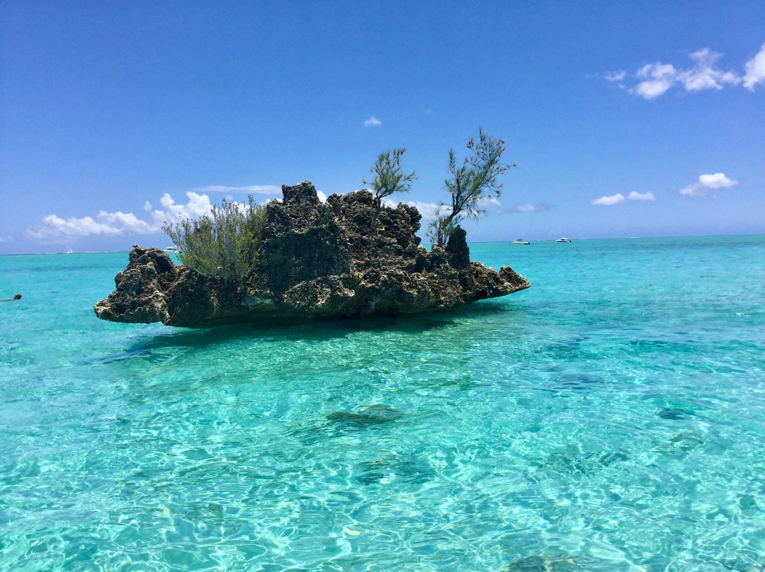 弗力克昂弗雷克旅游攻略图片