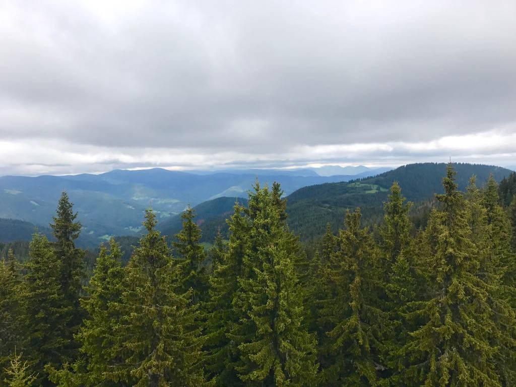 Rozhen旅游攻略图片