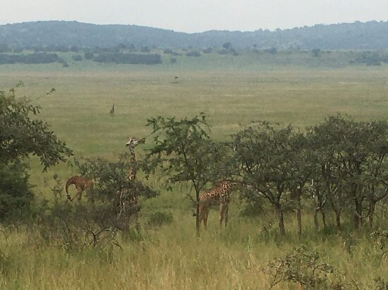 Wild Hikes Rwanda-吉佳利必去景点