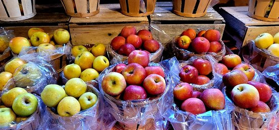 Susquehanna Orchards-Delta必去景点