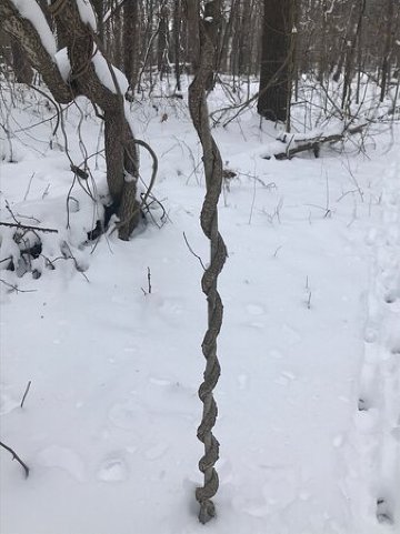 宁静隐密民宿-portrait