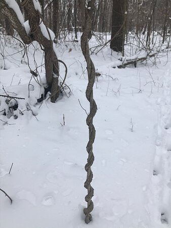 Hidden Serenity B&b Getaway & Spa主图