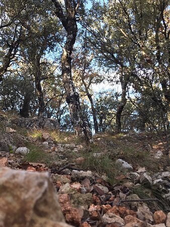 Parque Natural del Carrascal de la Font Roja景点图片