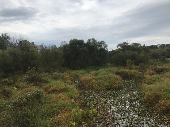 Julie Metz Neabsco Creek Wetlands Preserve景点图片
