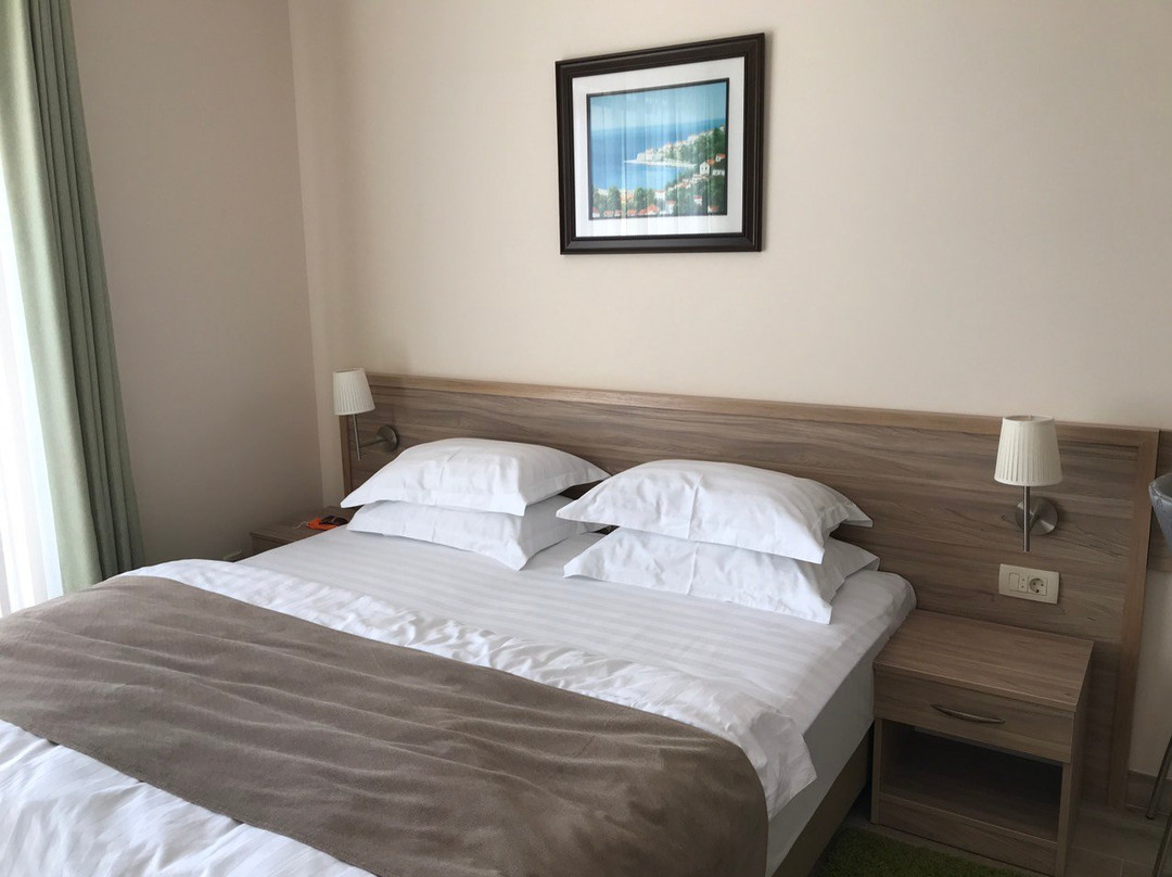 ApartHotel Belvedere Residence主图