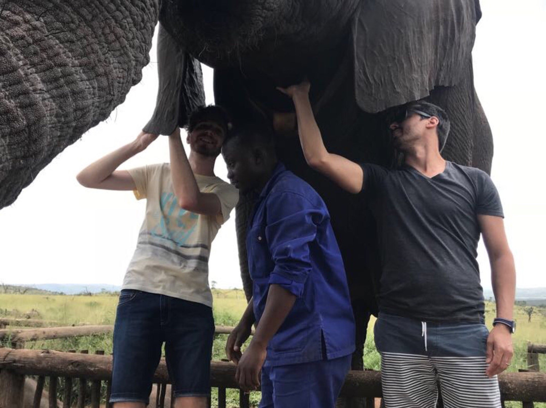 Bayete Zulu Lodges-Mkuze Game Reserve必去景点