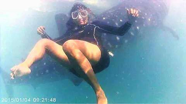 Oslob Whale Sharks-宿雾市必去景点