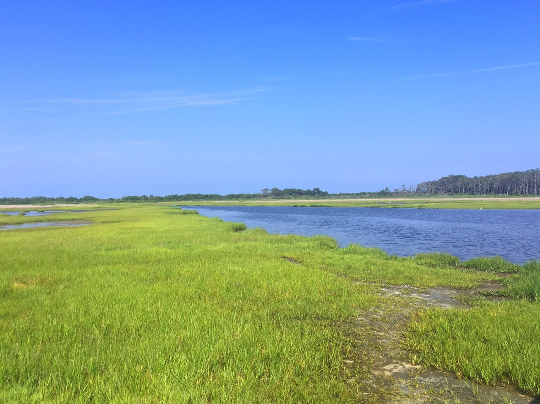 Berlin旅游攻略图片